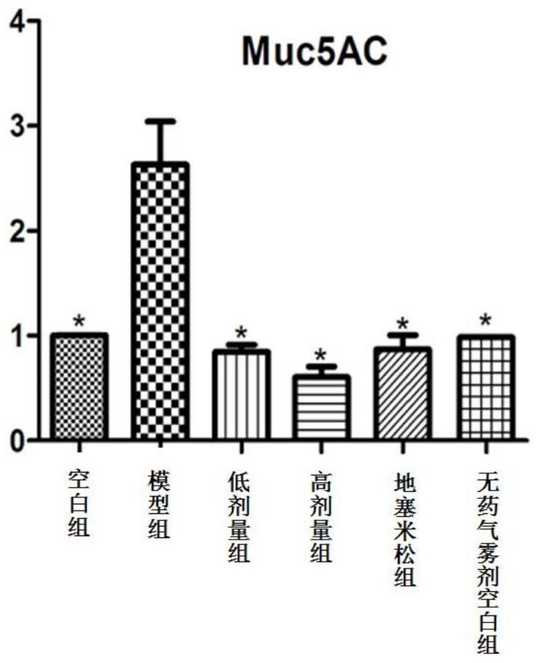 A kind of aerosol for treating chronic obstructive pulmonary disease