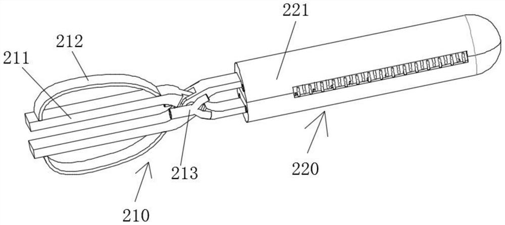 Head cleaning care instrument for long-term care of patients