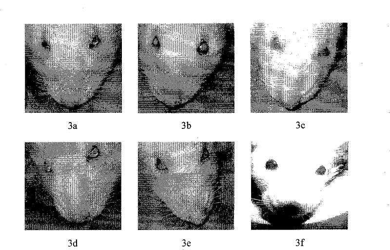 Traditional Chinese medicine for reducing blood sugar and regulating lipid with overall regulation of body metabolism and preparation method thereof