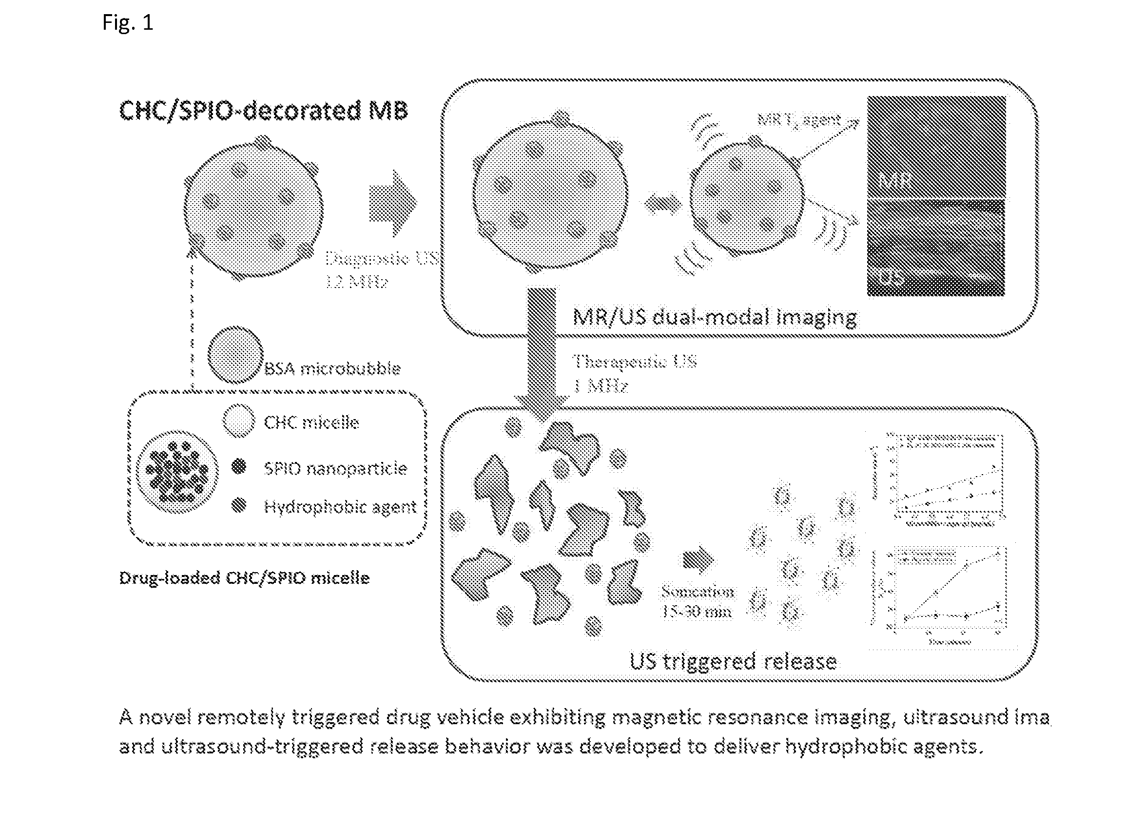 Dual-modal imaging-guided drug vehicle with ultrasound-triggered release function