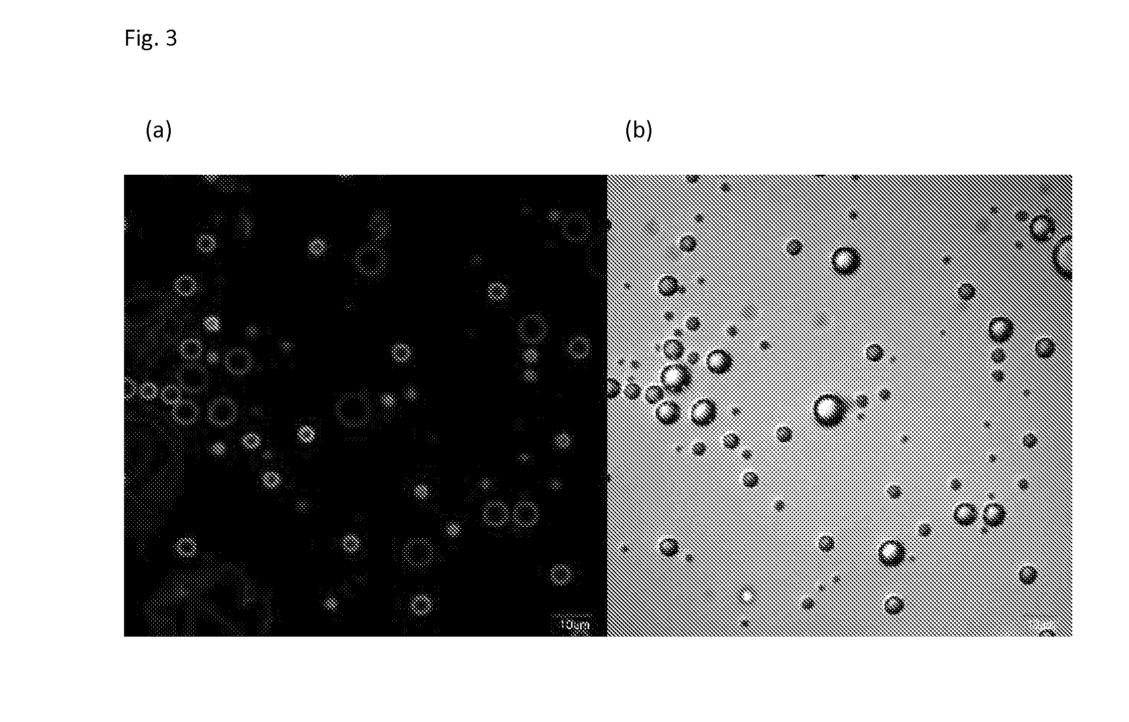 Dual-modal imaging-guided drug vehicle with ultrasound-triggered release function