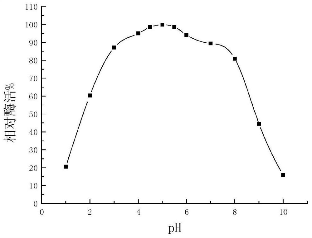 A strain of bacillus coagulans and its liquid fermentation enzyme production method