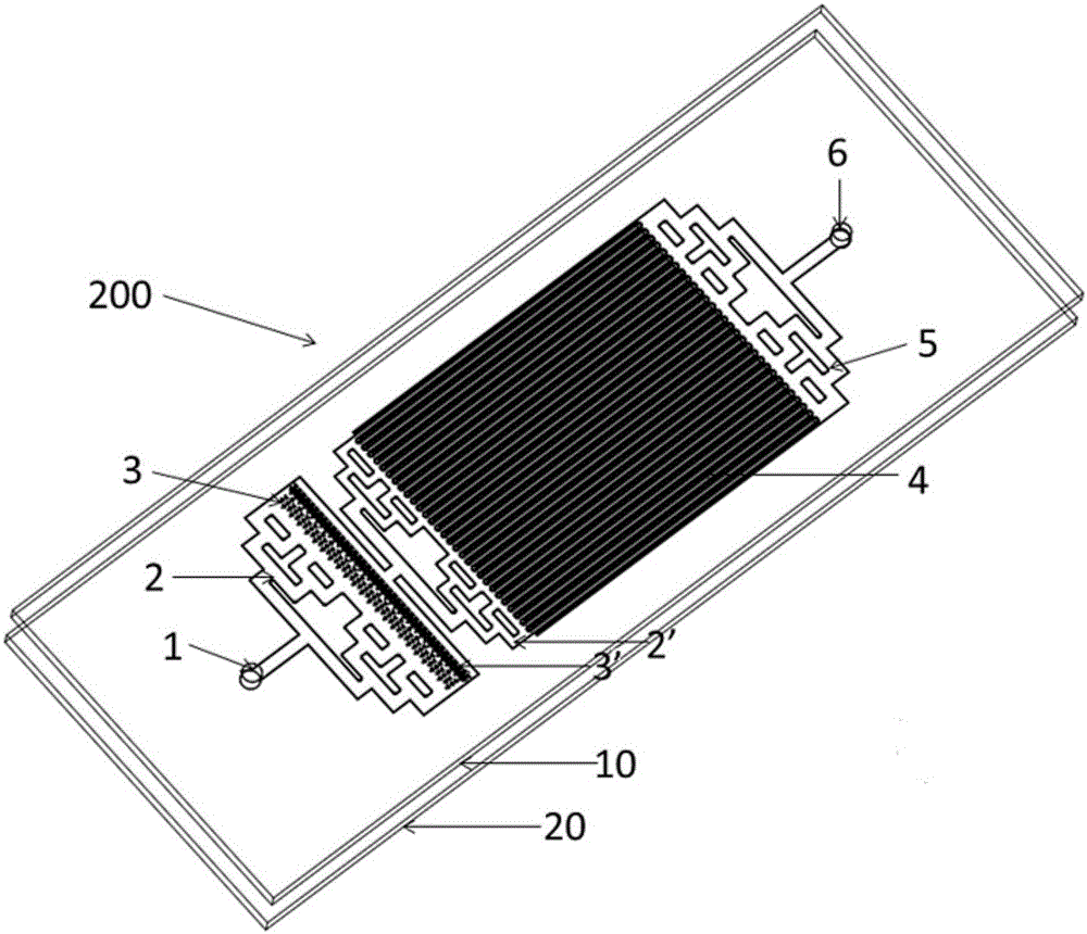 Micro-fluidic device and method for detecting circulating tumor cell on basis of dimension