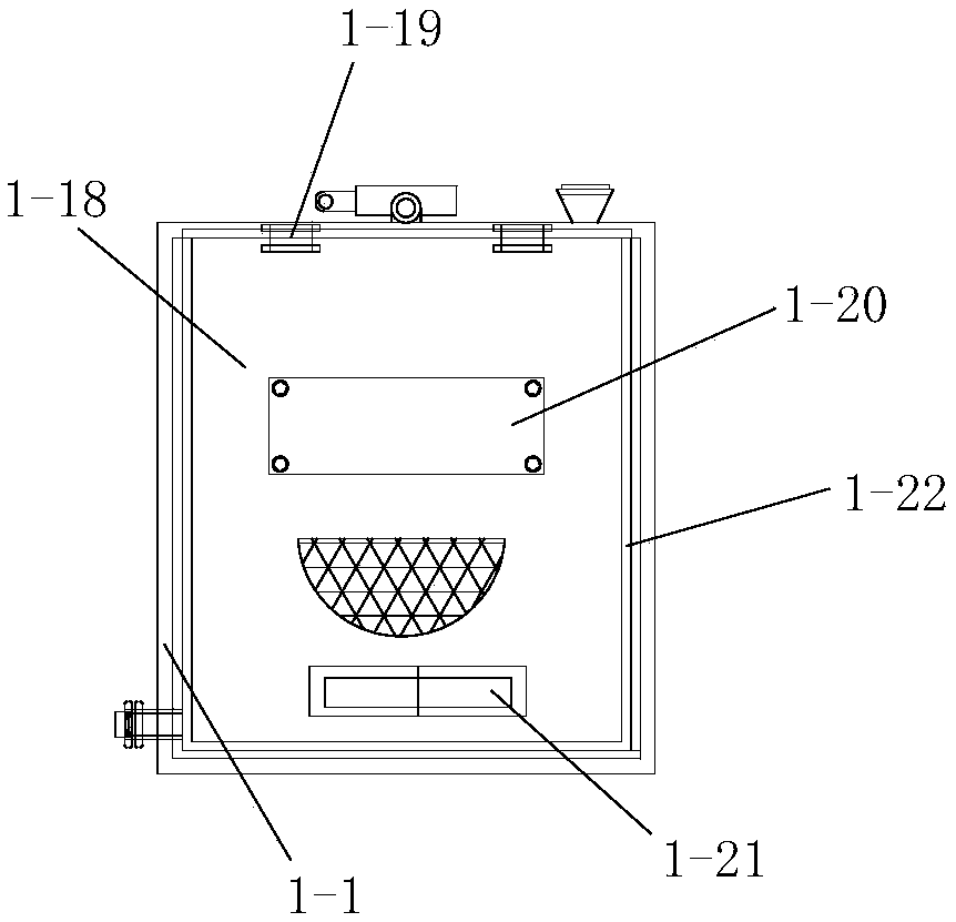 Grafting propagation method of Gymnocalycium mihanovichii var. friedrichii