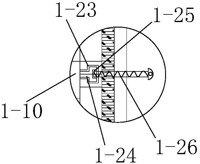 Grafting propagation method of Gymnocalycium mihanovichii var. friedrichii