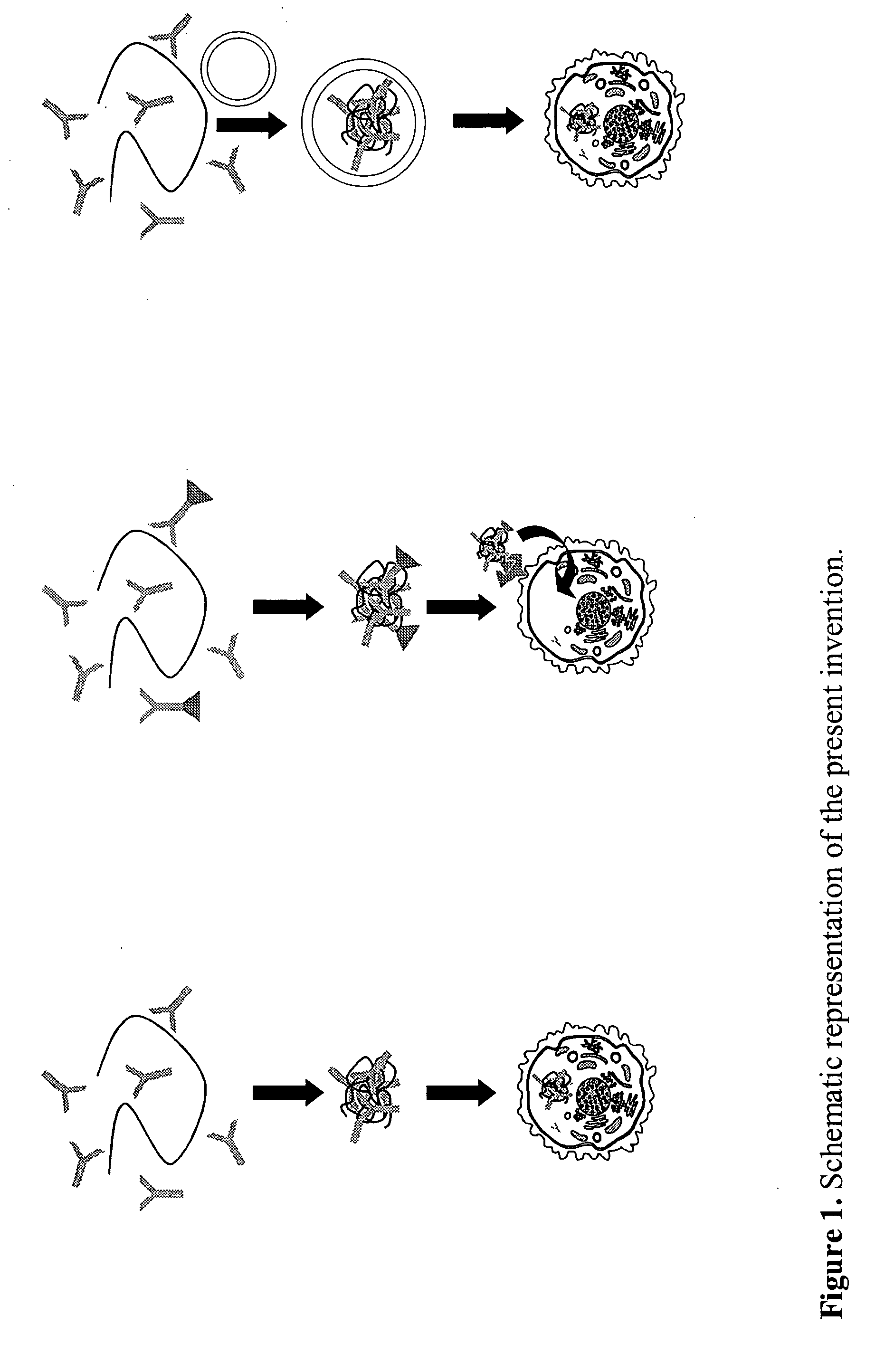 Method for transfer of molecular substances with prokaryontic nucleic acid-binding proteins