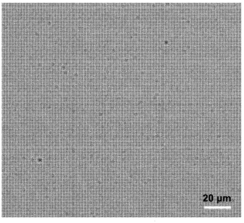 Preparing method of chondriosome-targeted multilayer tumor deep-penetration sound sensitizer with sound responsiveness