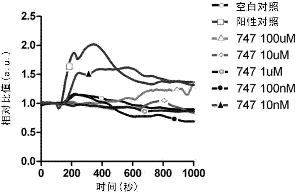 Novel CCR2 antagonist and application thereof