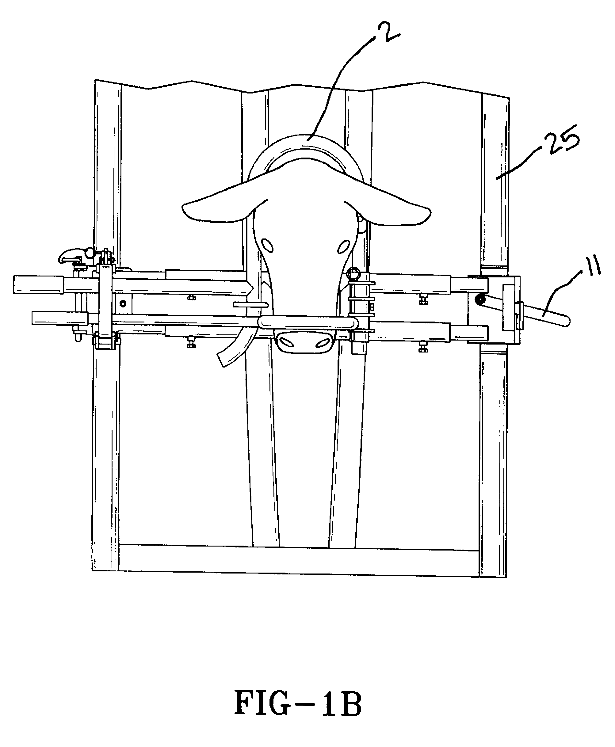 Head restraint for animal control chute