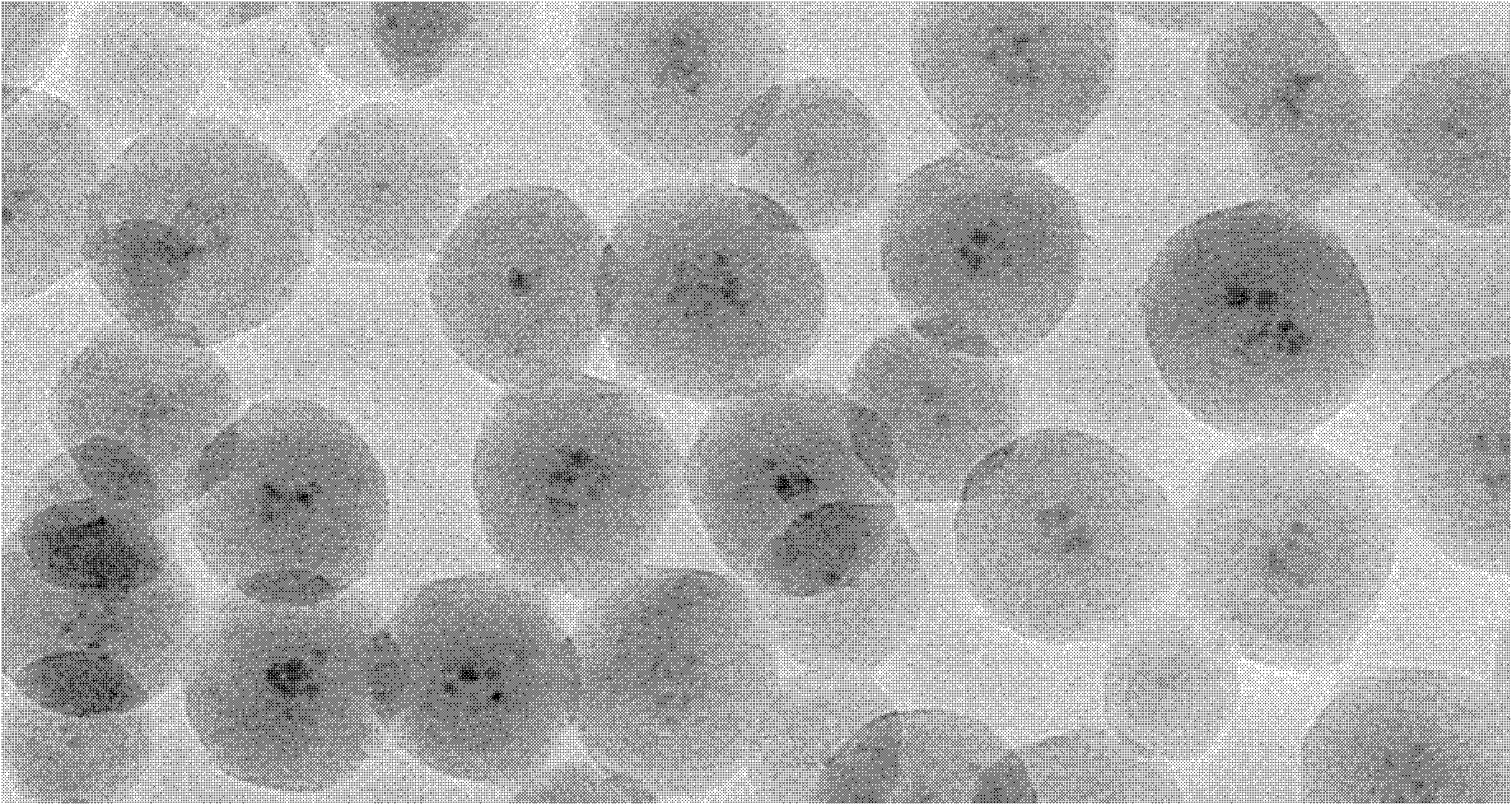 Surface-modified fluorescent quantum dot/silica composite microspheres, preparation method thereof, and application thereof