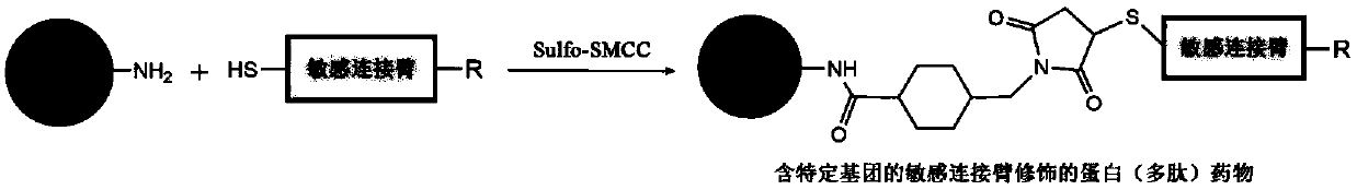 Modularly-assembled combined biological drug joint delivery system and application