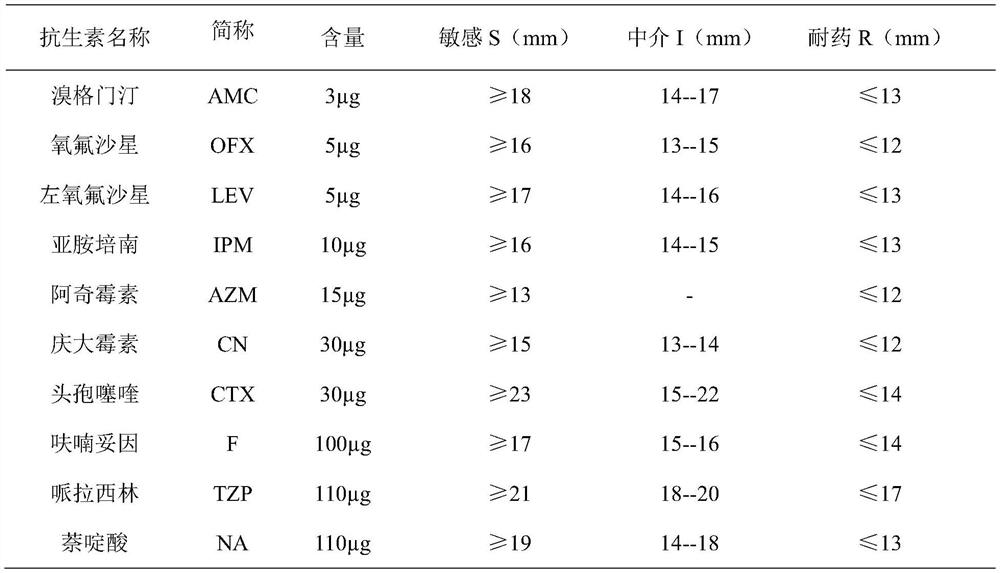 Application of sanguinarine in inhibiting the growth of multi-drug resistant Enterobacter hallii