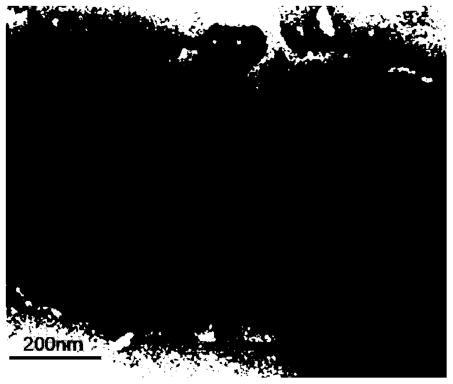 A bovine viral diarrhea virus-like particle and its construction method and application