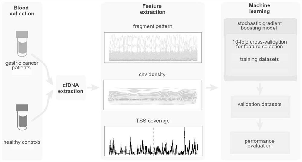 Non-invasive cancer early screening system based on cfDNA omics characteristics