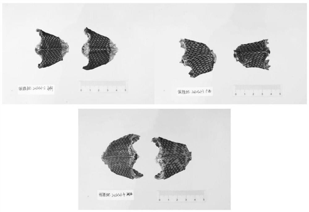 Preparation method of cobra traditional Chinese medicine raw powder