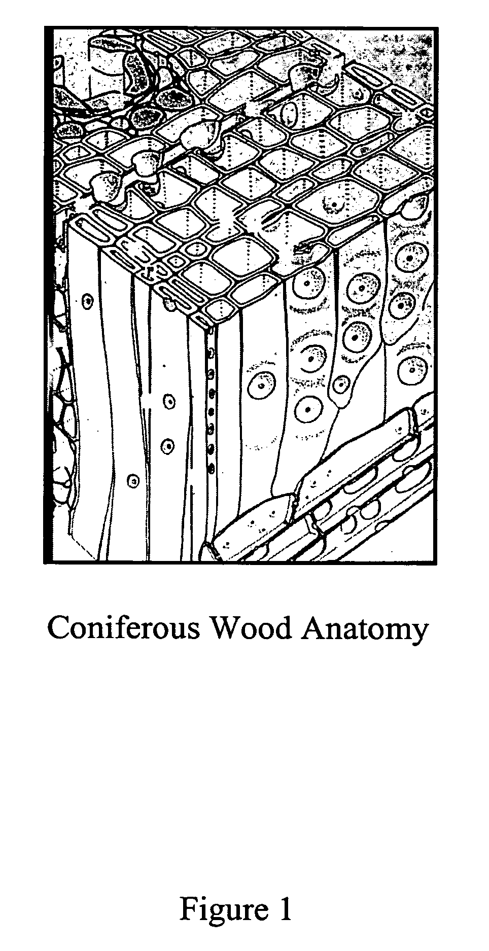 Micronized wood preservative compositions