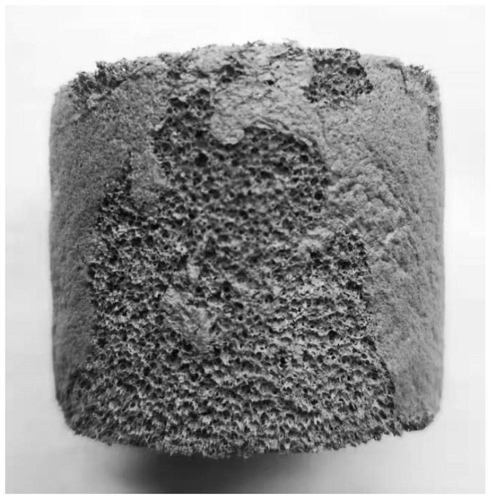 A kind of black talc-polyvinyl formal gel composite adsorption material