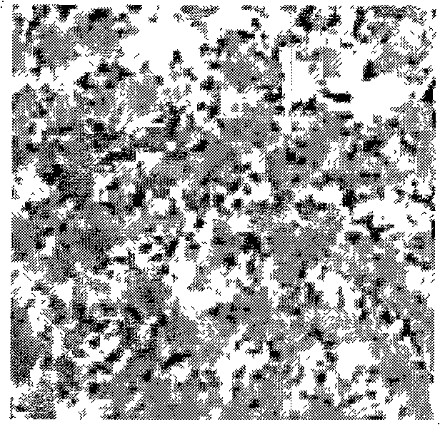 Fe/Ni-based carbide alloy coating cutter material for cutting rolled steel and preparation thereof