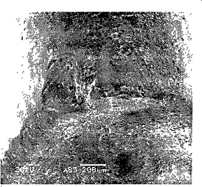 Fe/Ni-based carbide alloy coating cutter material for cutting rolled steel and preparation thereof