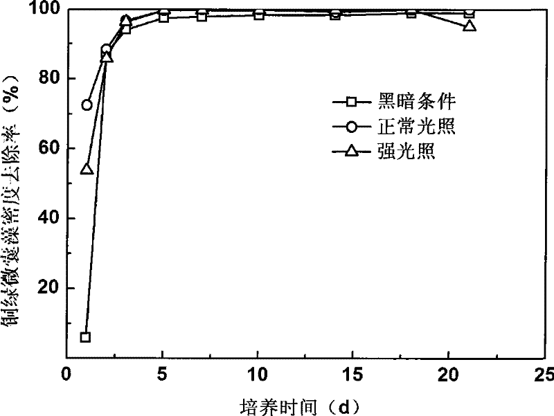 Culture method of golden algae and application thereof in controlling water-bloom algae aspect