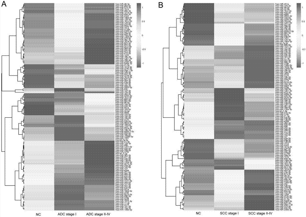 A biomarker composition for non-small cell lung cancer, and screening and applications of the biomarker composition