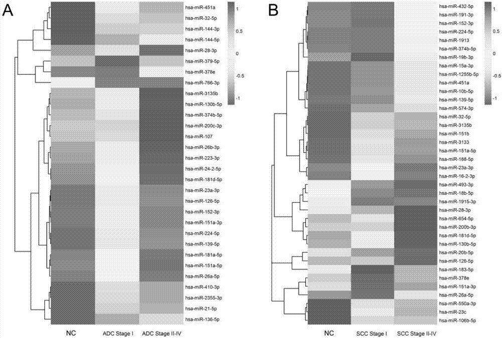 A biomarker composition for non-small cell lung cancer, and screening and applications of the biomarker composition