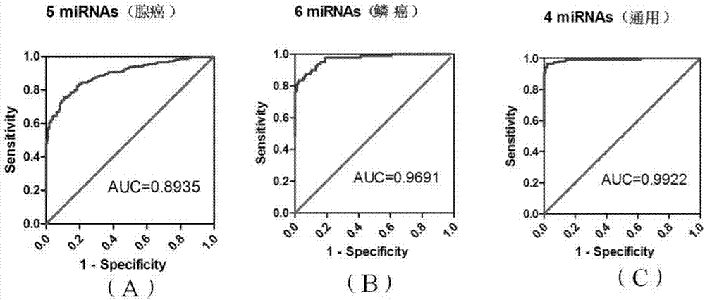 A biomarker composition for non-small cell lung cancer, and screening and applications of the biomarker composition