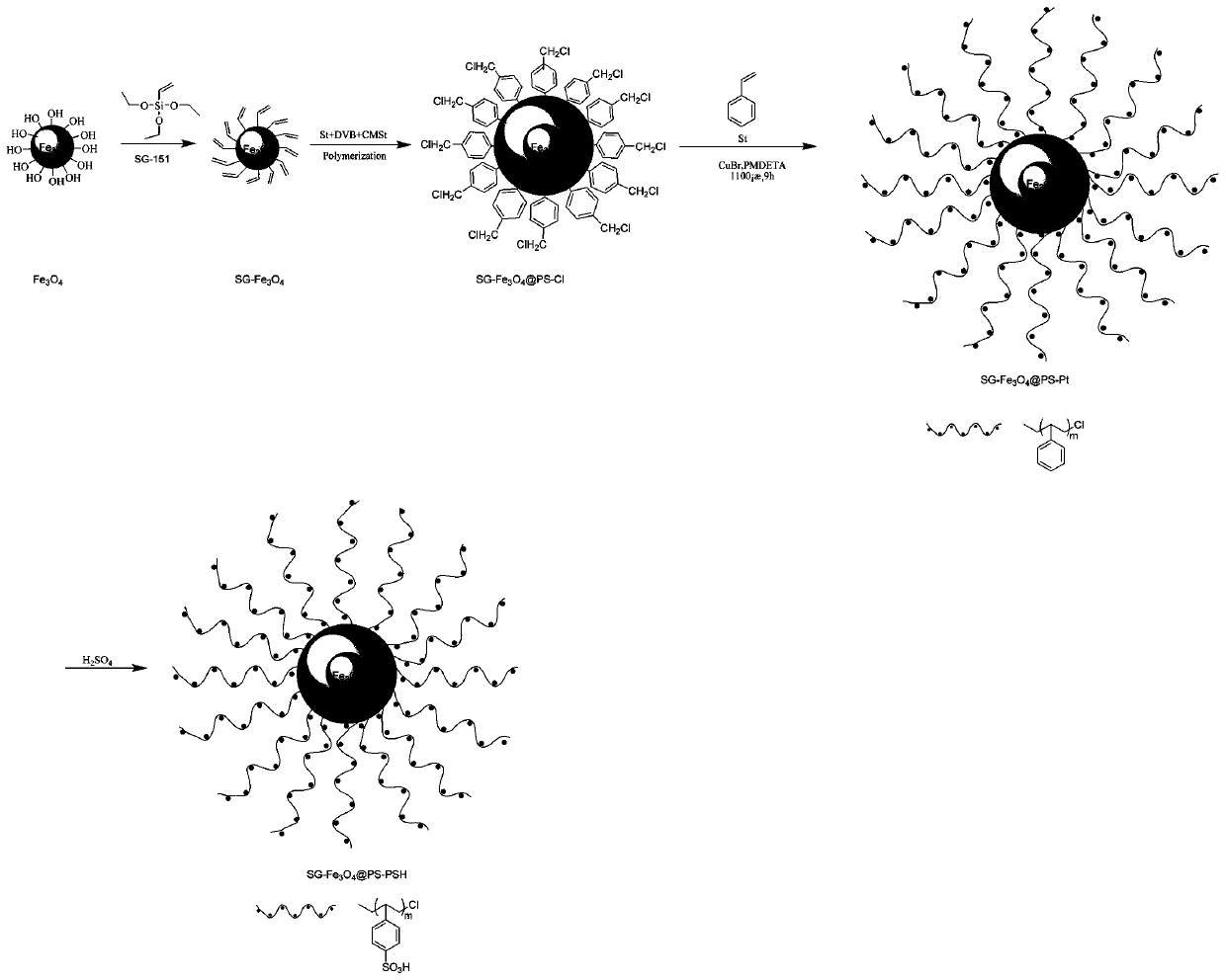 Preparation method and application of magnetic sulfonated polystyrene molecular brush