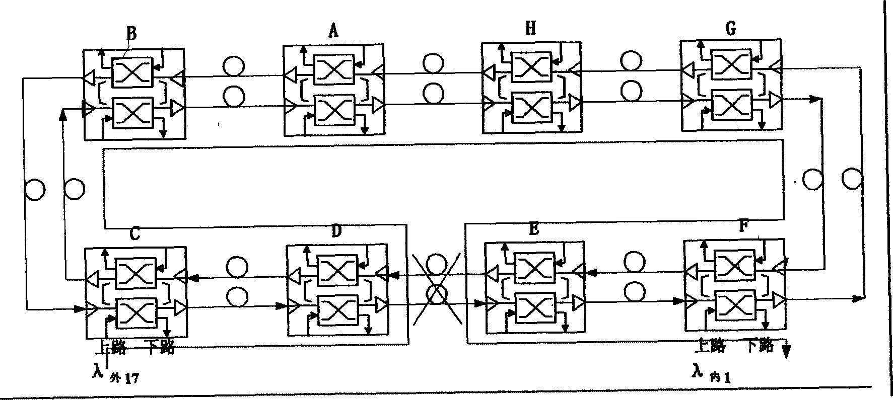 Device of full light network reusing segment shared protection