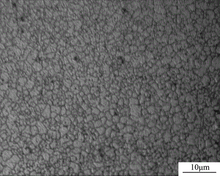 Woven fully-degradable magnesium alloy airway stent and preparation method thereof