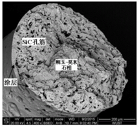 Silicon carbide-based composite foamed ceramic of multilayer hole rib structure and preparation method thereof