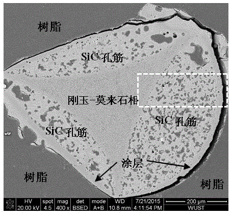 Silicon carbide-based composite foamed ceramic of multilayer hole rib structure and preparation method thereof