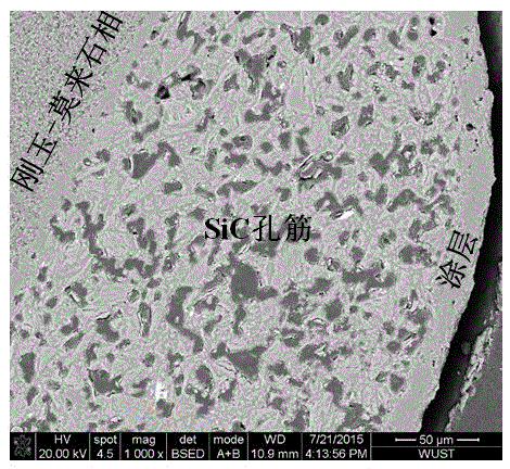 Silicon carbide-based composite foamed ceramic of multilayer hole rib structure and preparation method thereof