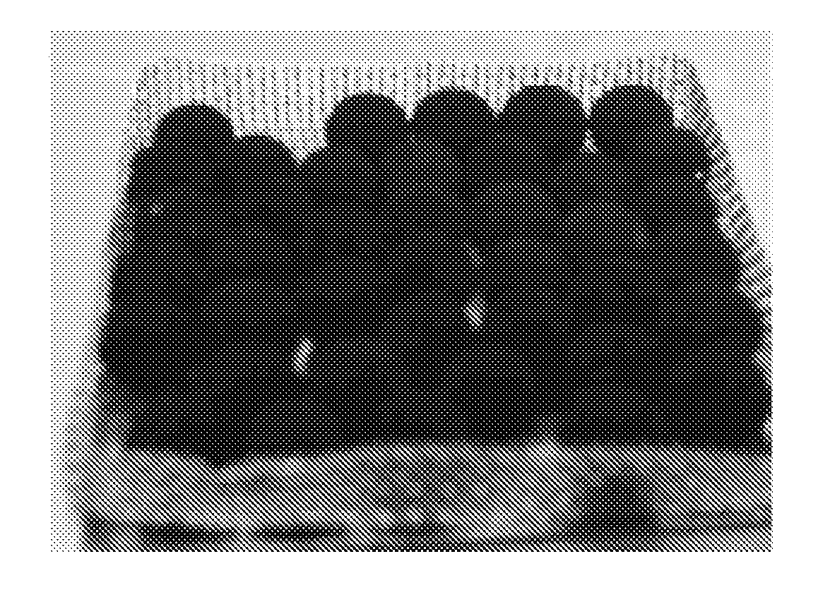 Method for producing carbon nanotube assembly having high specific surface area