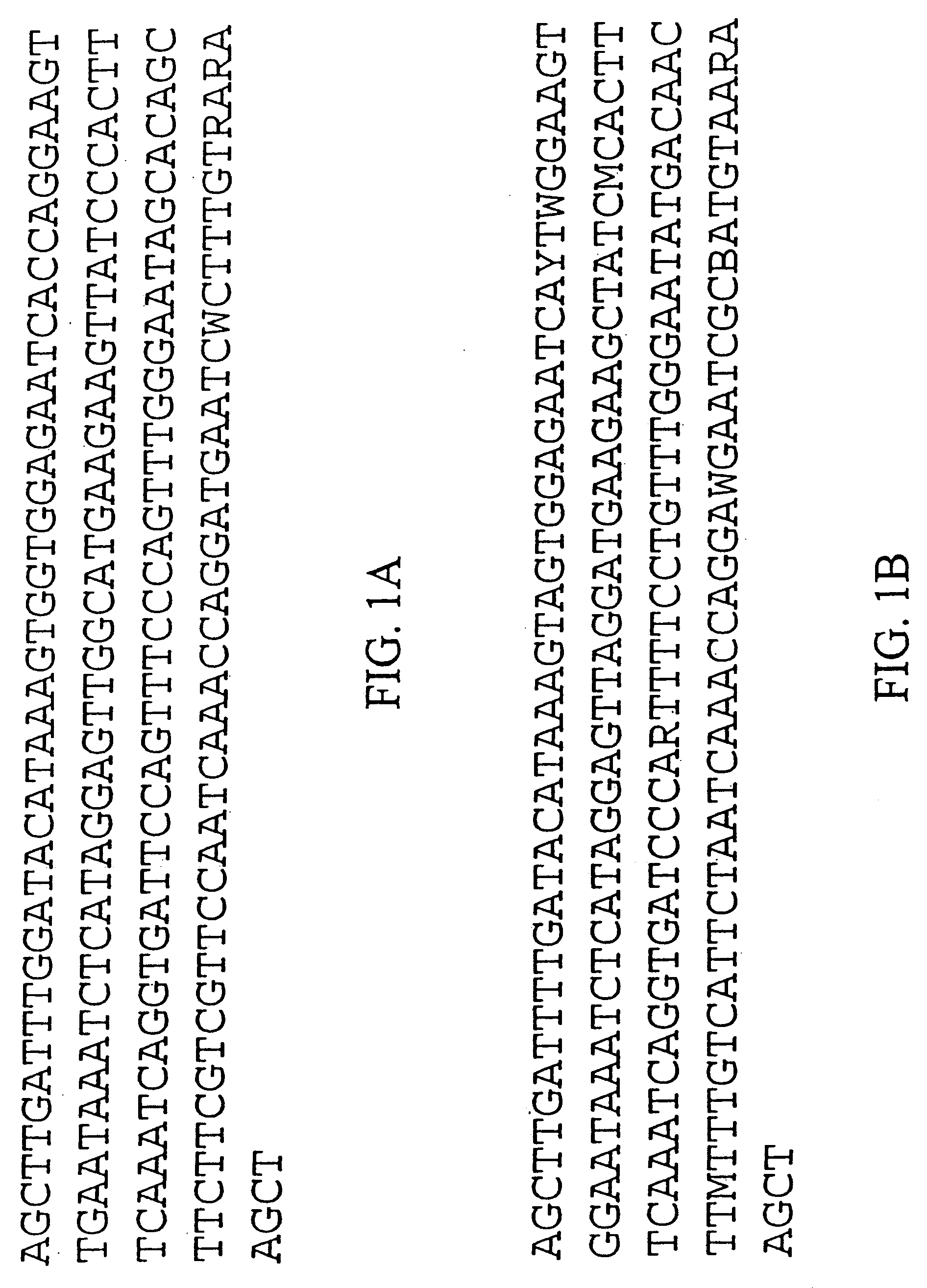 Plant centromere compositions