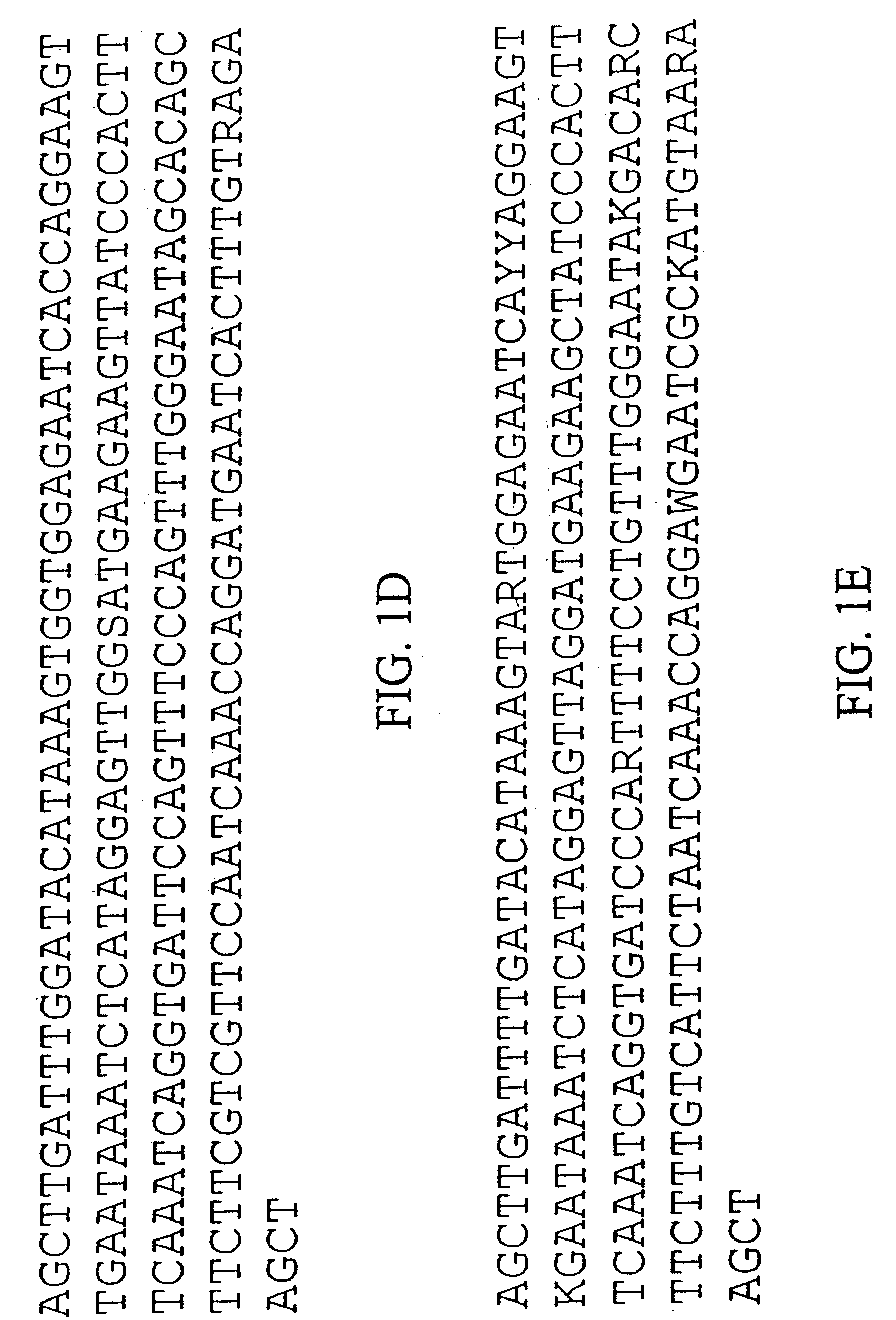 Plant centromere compositions