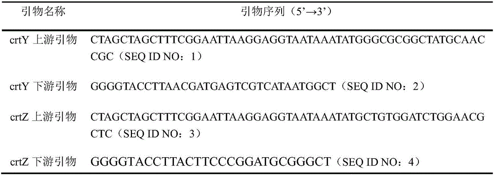 Engineering strain capable of producing high-content zeaxanthine or astaxanthin and application thereof