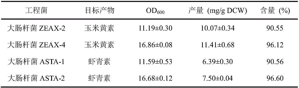 Engineering strain capable of producing high-content zeaxanthine or astaxanthin and application thereof