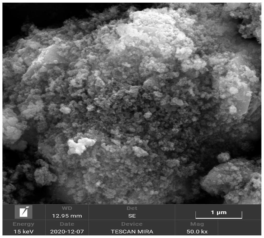 A kind of biological type zero-valent iron sulfide material and its preparation method and application