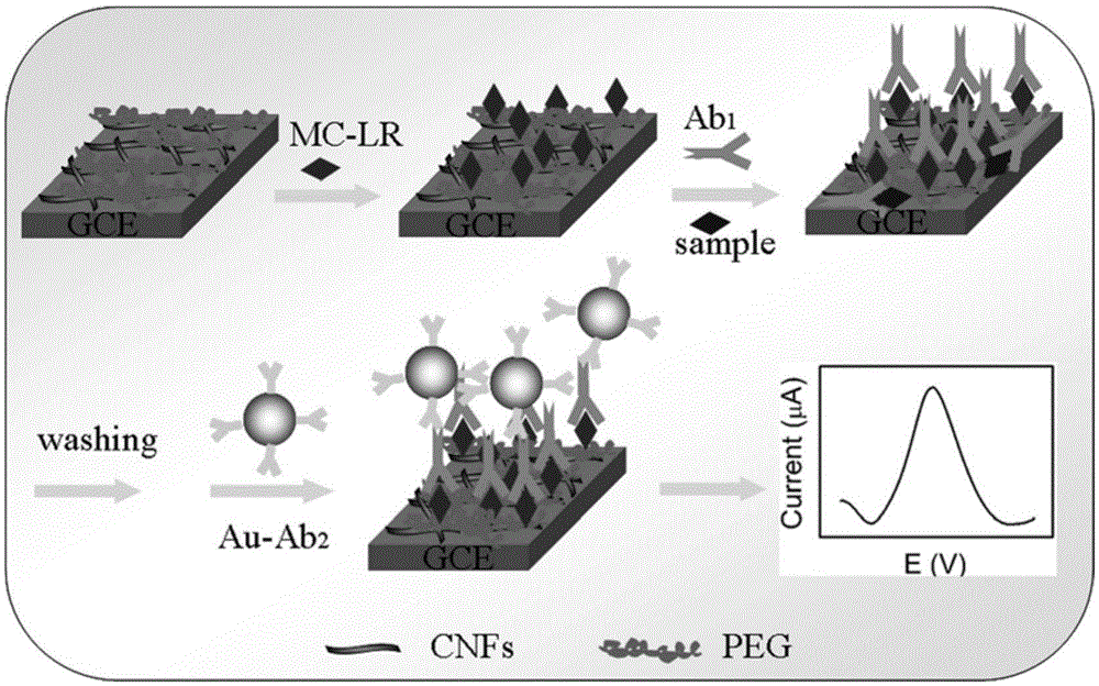 Microcystin-LR detecting method based on enzyme-free immuno-sensor