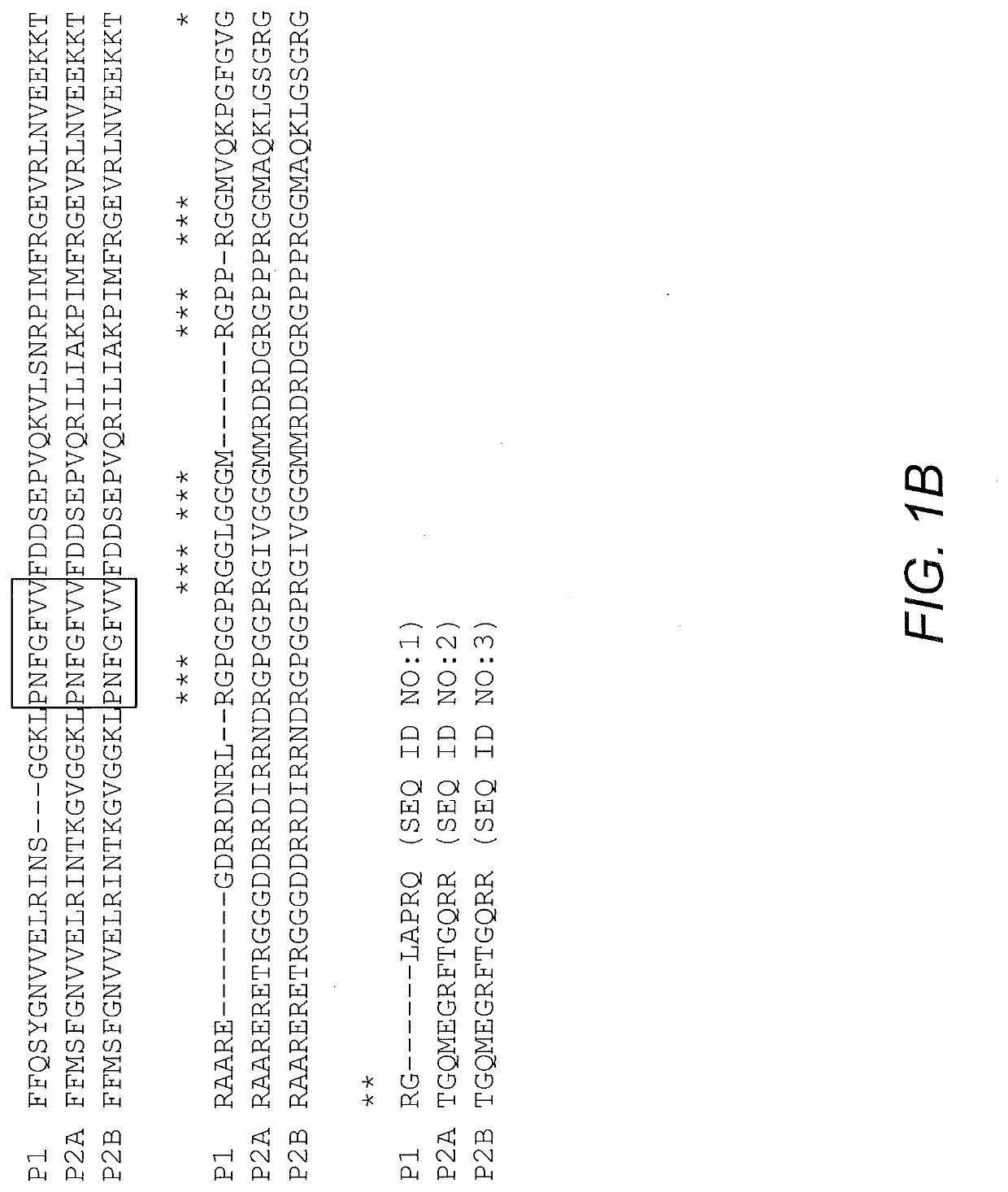 Fusion protein and nucleic acid molecule for exogenous stimulant-dependent stress granule assembly