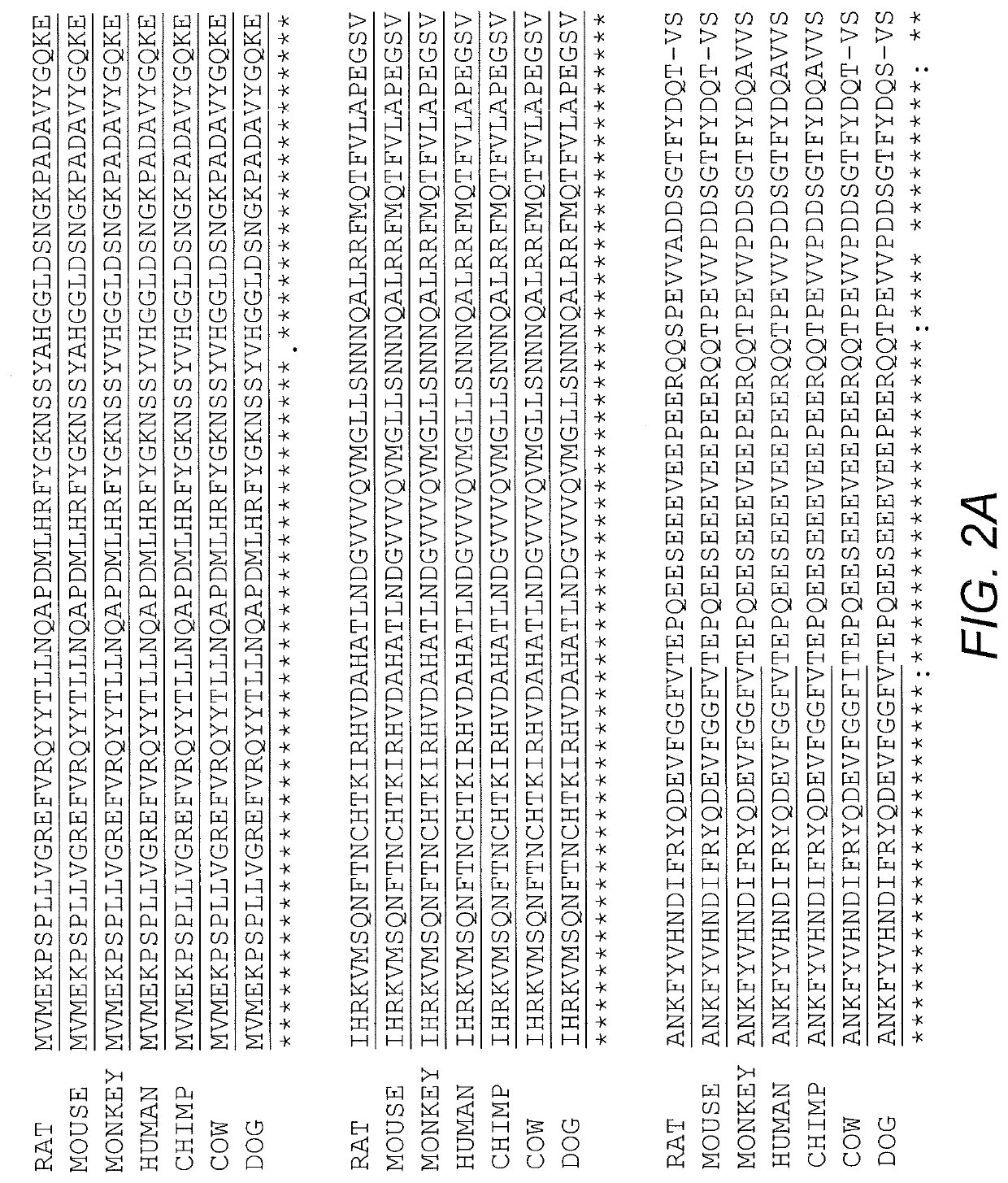 Fusion protein and nucleic acid molecule for exogenous stimulant-dependent stress granule assembly