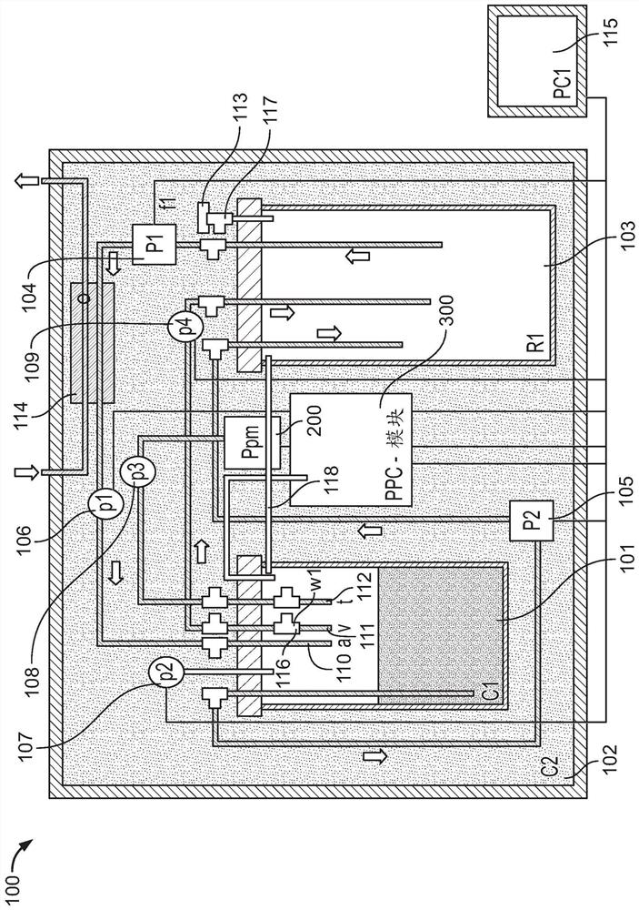 Regeneration of a functional pulmonary vascular bed