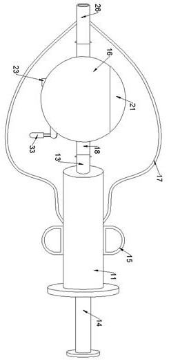 Veterinary medicine feeding device