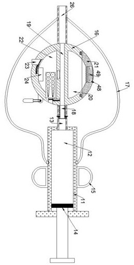 Veterinary medicine feeding device