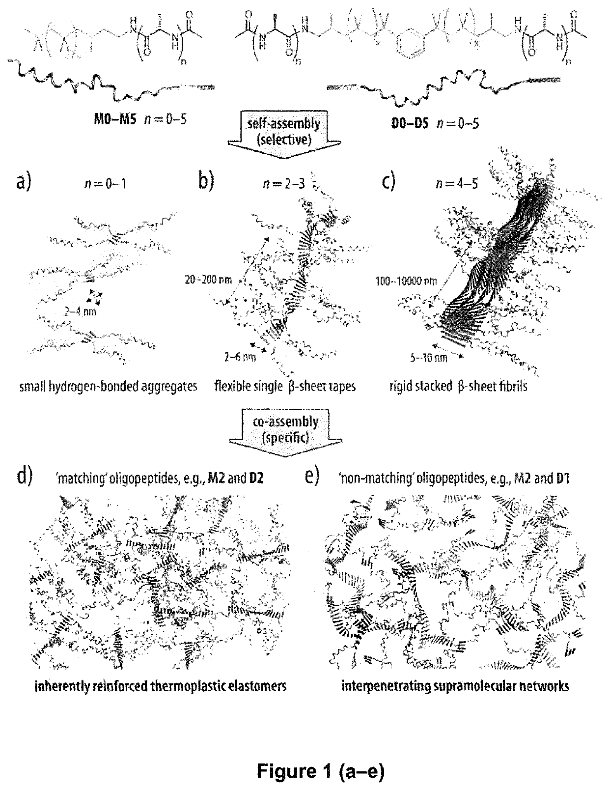 Blends of oligopeptide terminal polyisobutylene or polystyrene