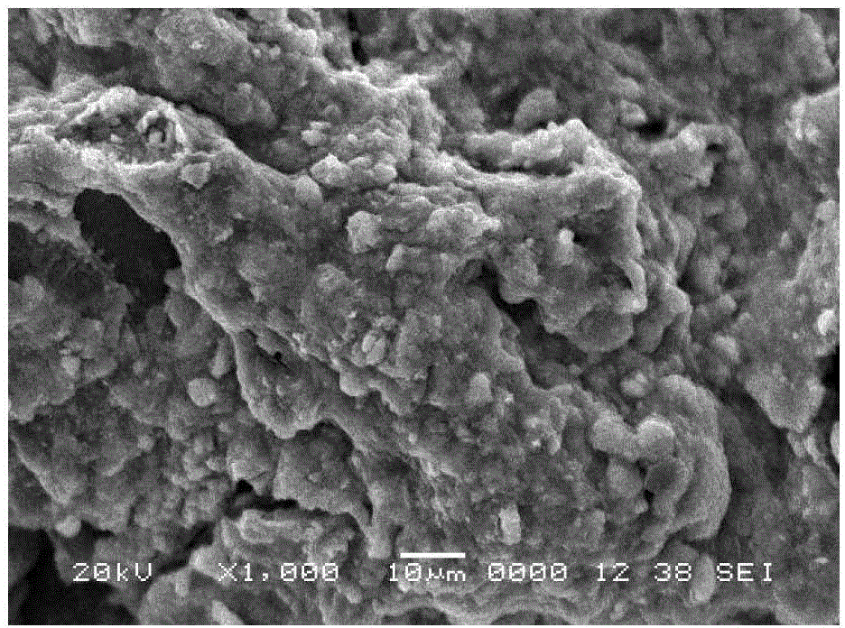 Preparation method of novel lead removal agent