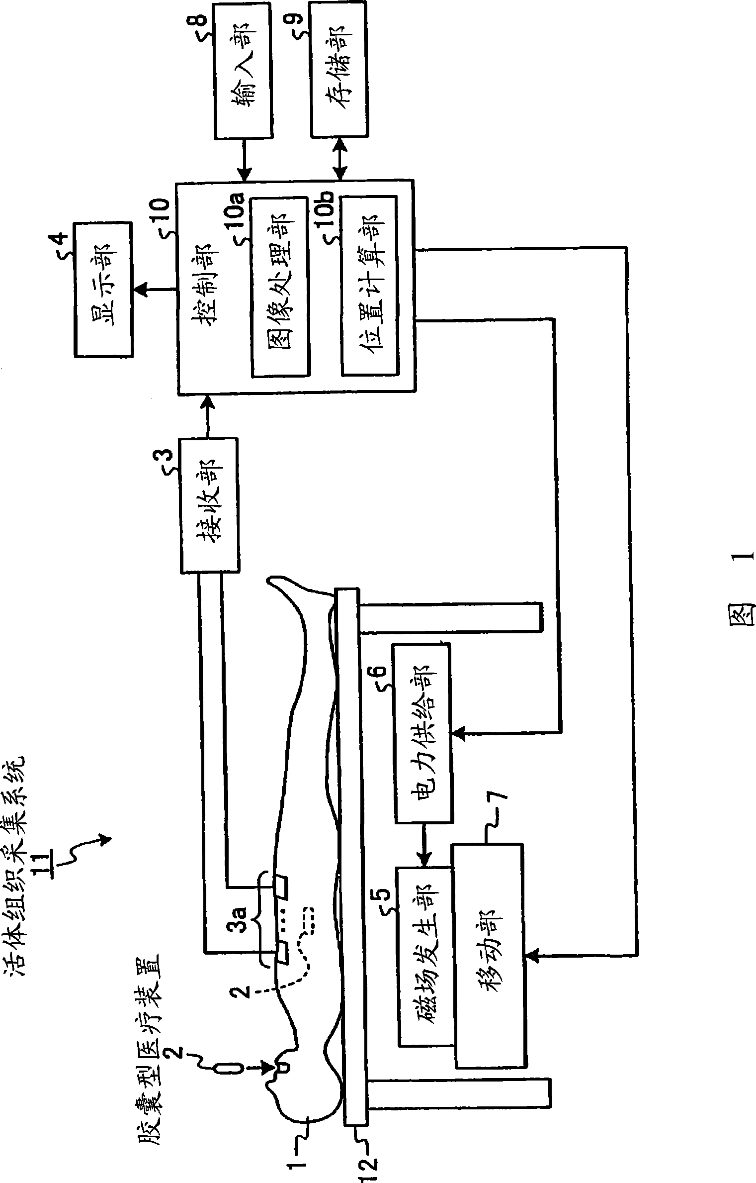 Capsule medical device and body-tissue obtaining method