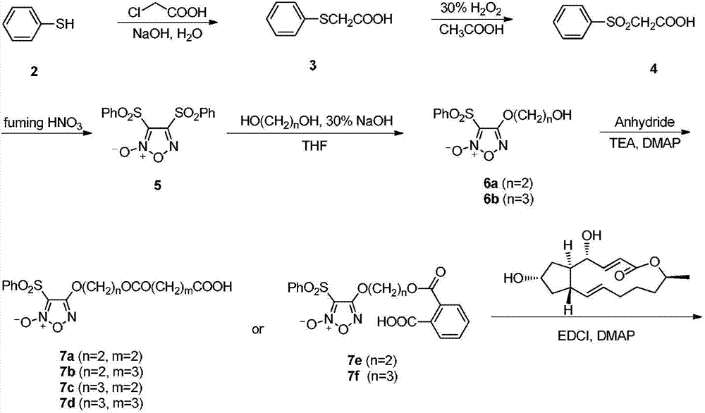 Brefeldin A derivatives, and preparation method and uses thereof