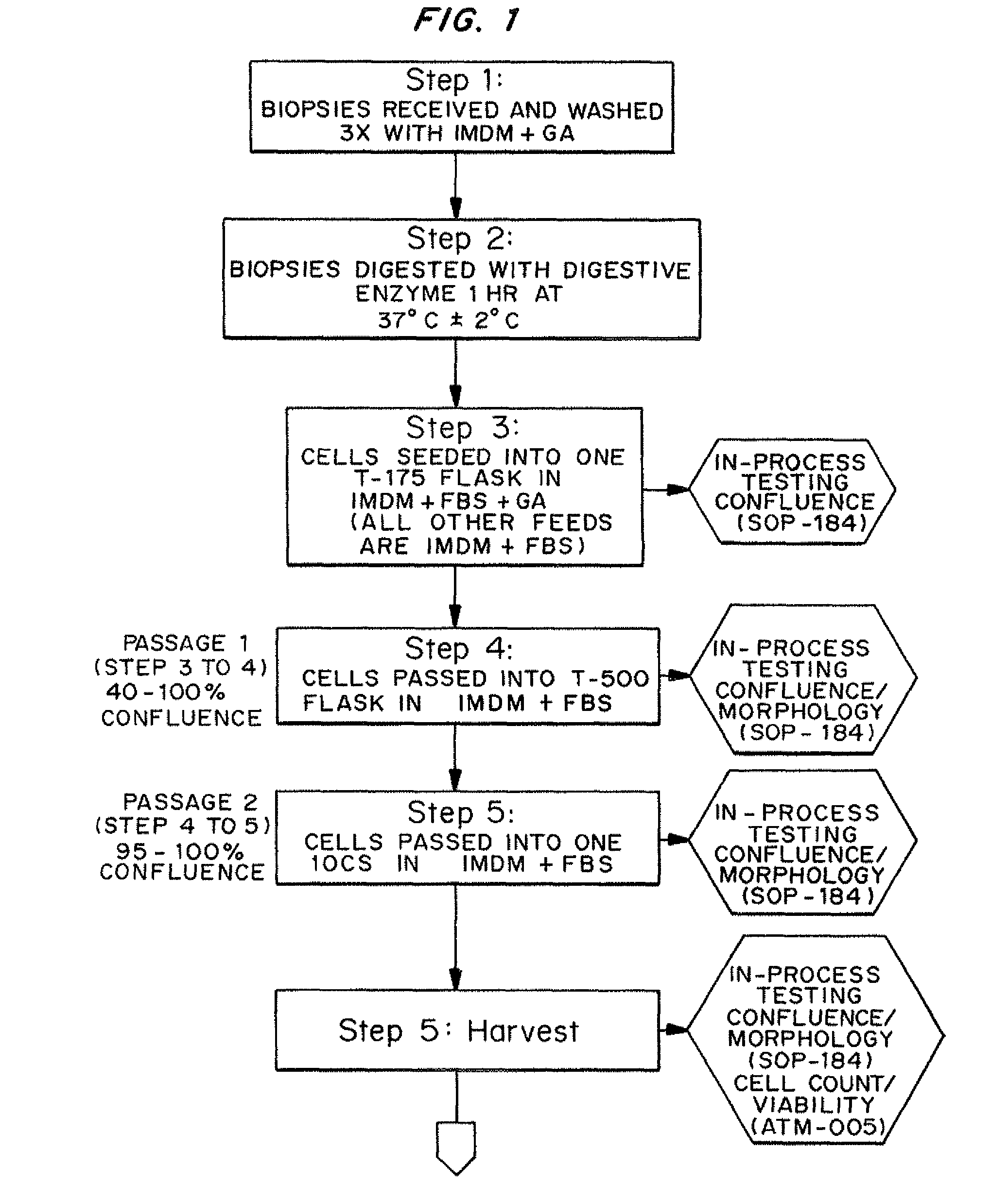 Dosage unit formulations of autologous dermal fibroblasts